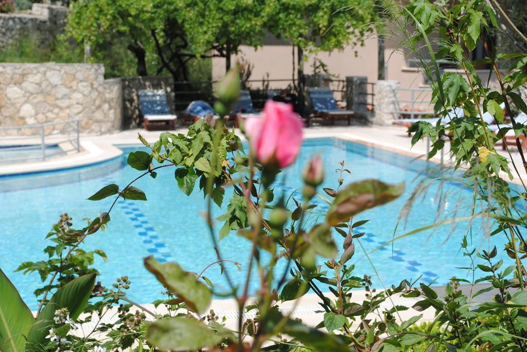 Kleo Cottages Kalkan Ruang foto