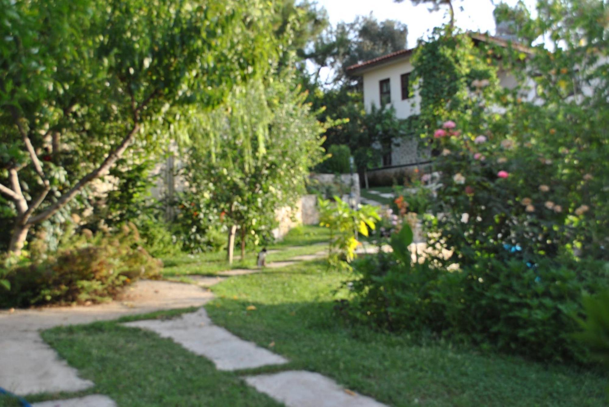 Kleo Cottages Kalkan Bagian luar foto
