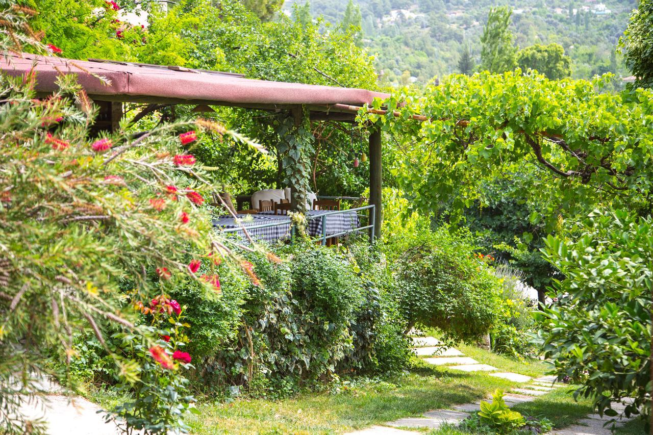 Kleo Cottages Kalkan Bagian luar foto
